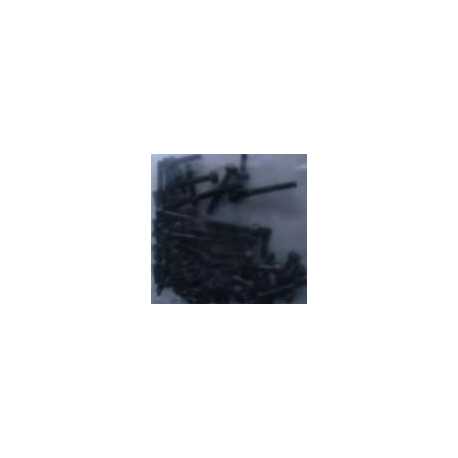 Set tornillos raptor
