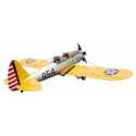 Ryan PT-22 Recruit 40cc ARTF