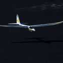 Conscendo Evolution 1.5m BNF Basic with SAFE Select