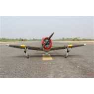 P-47D "Little Bunny" MKII -61 ARTF 2