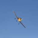 T-28 Trojan 1.1m BNF Basic