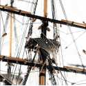 Barco HMS Fly 1:64
