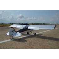 AVION SEAGULL SHOCK CUB 38-50CC - PLATA 2