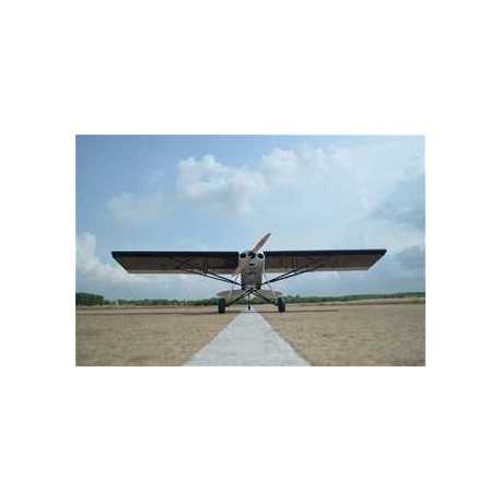 AVION SEAGULL SHOCK CUB 38-50CC - PLATA