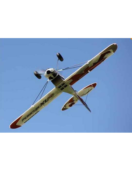 FunCub XL RR