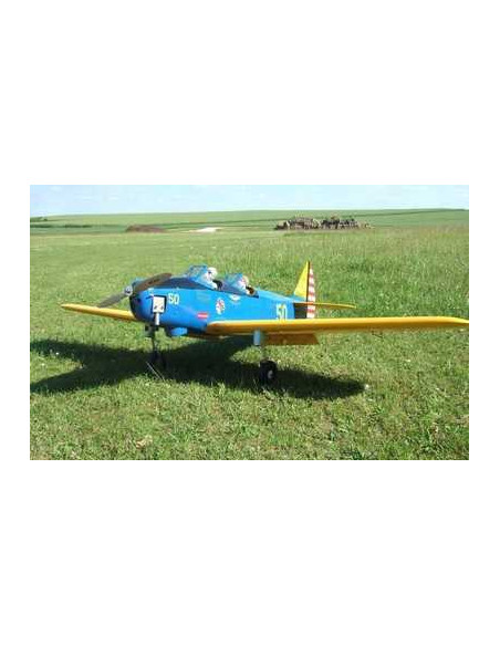 Fairchild PT-19 120 ARF
