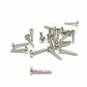 Tornillo Fijacion de Servo 3x16mm ( 20Und )