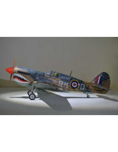 P40 WARHAWK GP/EP 35-55CC SCALE 18% ARF 2