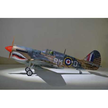 P40 WARHAWK GP/EP 35-55CC SCALE 18% ARF