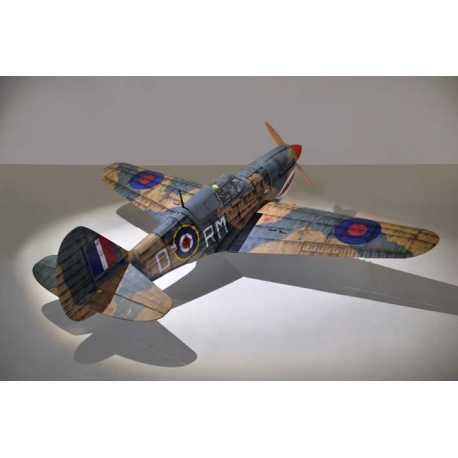 P40 WARHAWK GP/EP 35-55CC SCALE 18% ARF