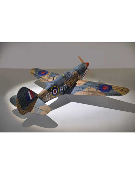 P40 WARHAWK GP/EP 35-55CC SCALE 18% ARF