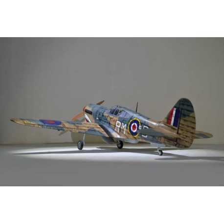 P40 WARHAWK GP/EP 35-55CC SCALE 18% ARF