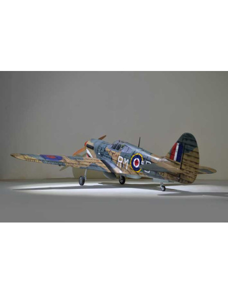 P40 WARHAWK GP/EP 35-55CC SCALE 18% ARF