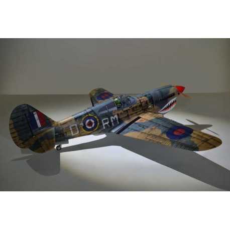 P40 WARHAWK GP/EP 35-55CC SCALE 18% ARF