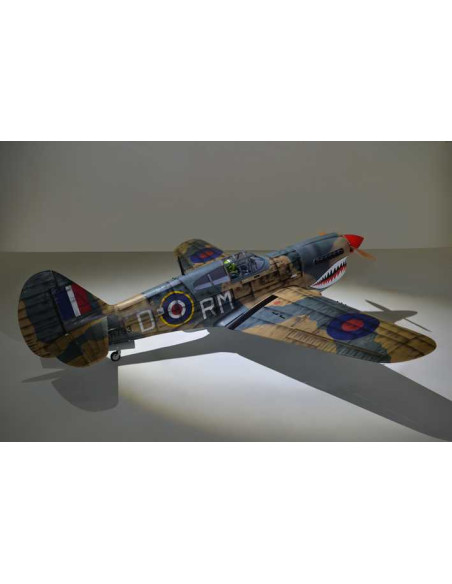 P40 WARHAWK GP/EP 35-55CC SCALE 18% ARF