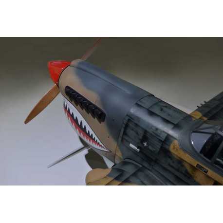 P40 WARHAWK GP/EP 35-55CC SCALE 18% ARF