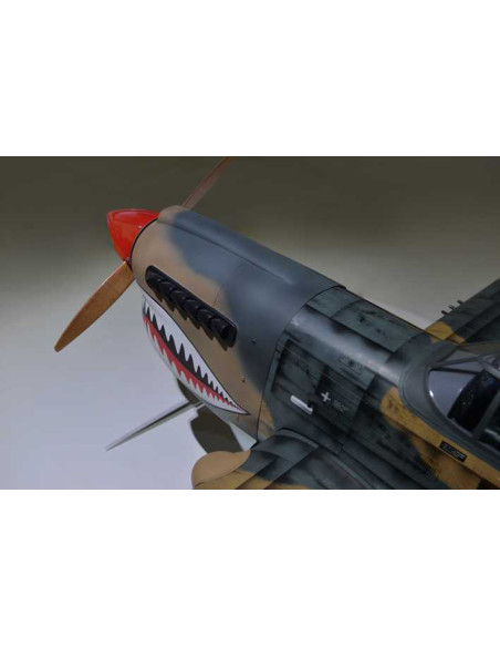 P40 WARHAWK GP/EP 35-55CC SCALE 18% ARF