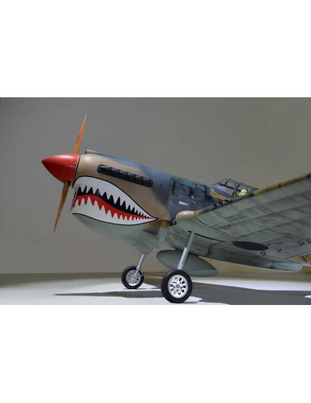 P40 WARHAWK GP/EP 35-55CC SCALE 18% ARF