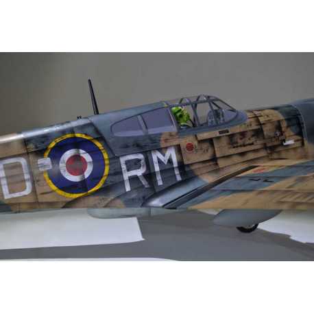 P40 WARHAWK GP/EP 35-55CC SCALE 18% ARF