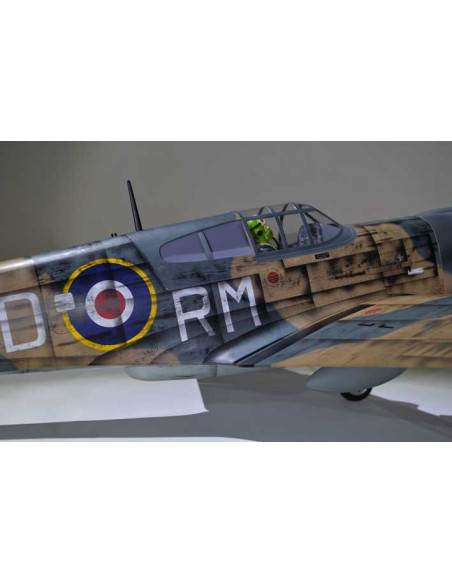 P40 WARHAWK GP/EP 35-55CC SCALE 18% ARF