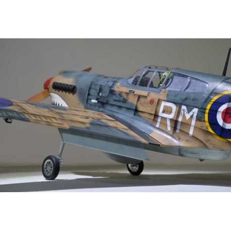 P40 WARHAWK GP/EP 35-55CC SCALE 18% ARF