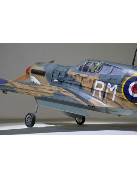 P40 WARHAWK GP/EP 35-55CC SCALE 18% ARF