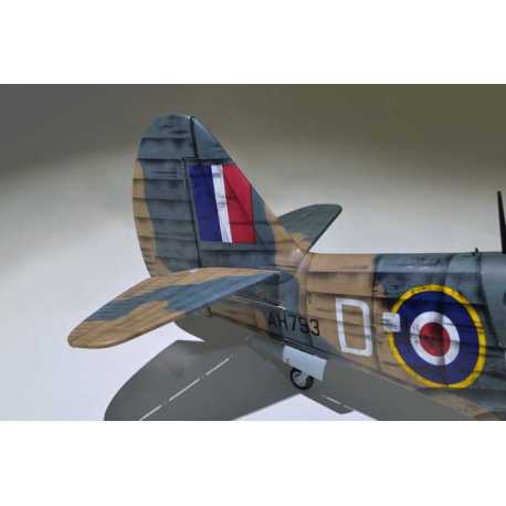 P40 WARHAWK GP/EP 35-55CC SCALE 18% ARF