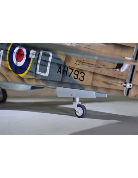 P40 WARHAWK GP/EP 35-55CC SCALE 18% ARF