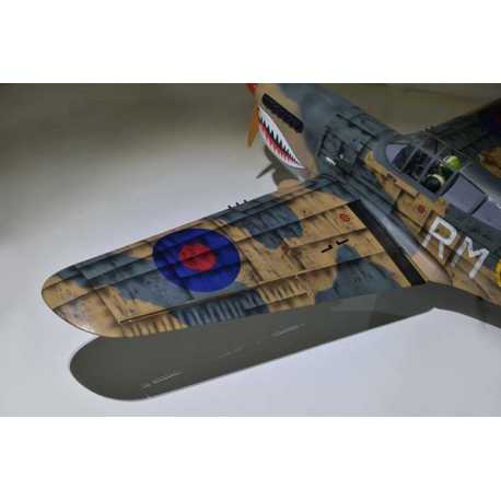 P40 WARHAWK GP/EP 35-55CC SCALE 18% ARF