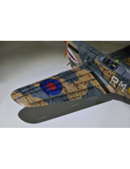 P40 WARHAWK GP/EP 35-55CC SCALE 18% ARF
