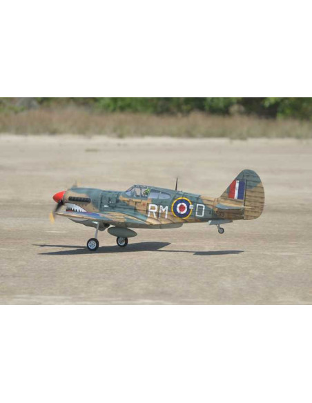 P40 WARHAWK GP/EP 35-55CC SCALE 18% ARF