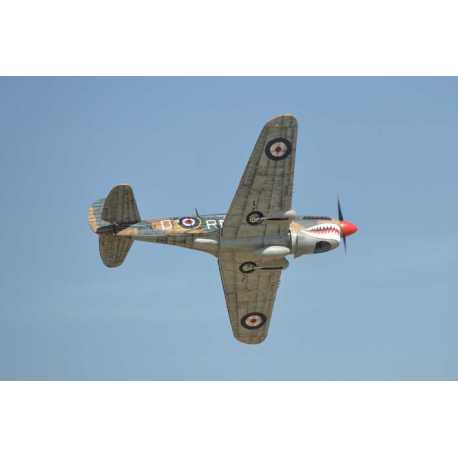 P40 WARHAWK GP/EP 35-55CC SCALE 18% ARF