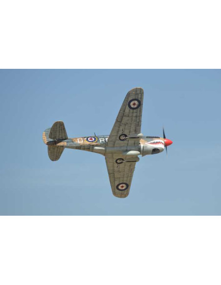 P40 WARHAWK GP/EP 35-55CC SCALE 18% ARF