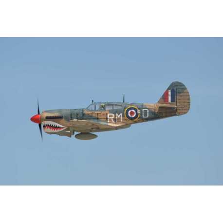 P40 WARHAWK GP/EP 35-55CC SCALE 18% ARF