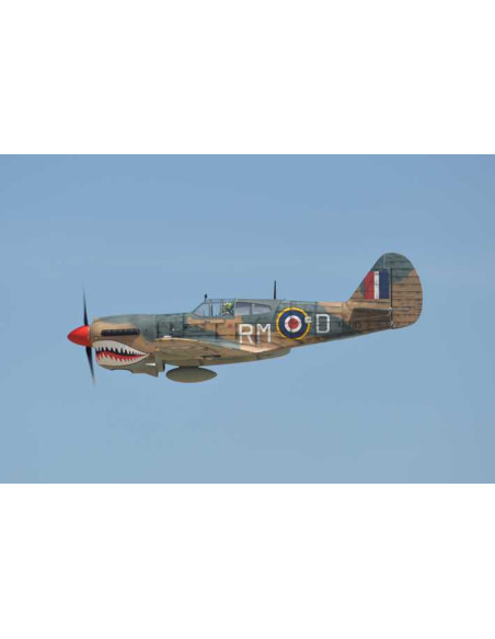 P40 WARHAWK GP/EP 35-55CC SCALE 18% ARF