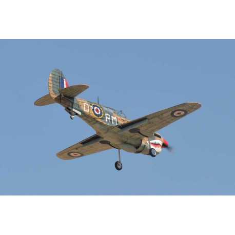 P40 WARHAWK GP/EP 35-55CC SCALE 18% ARF