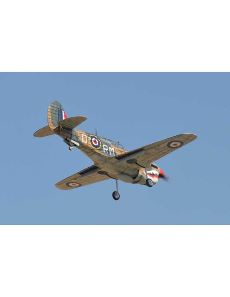 P40 WARHAWK GP/EP 35-55CC SCALE 18% ARF