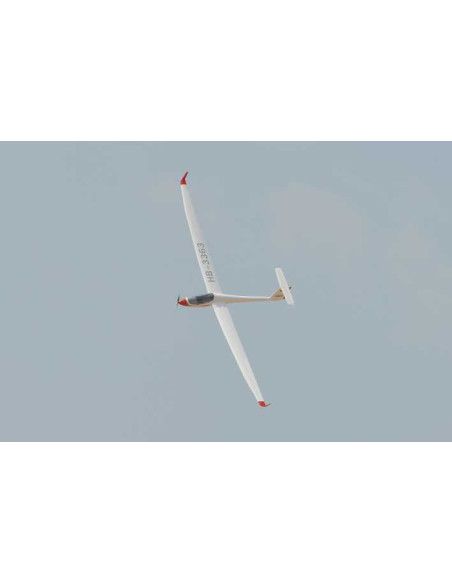 ASW 28 ELECTRIC 5500 SCALE 36% ARF