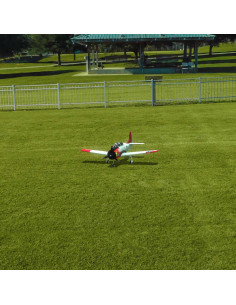 RealFlight Evolution RC Flight Simulator Software Only 2