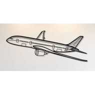 Silueta 787 Angle