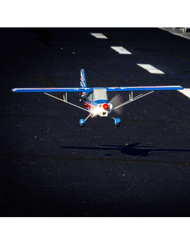 Decathlon RJG 1.2m BNF Basic with AS3X and SAFE Select