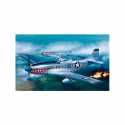 Avión F-51D Mustang. Escala 1:72