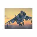 Avión FRS.1 Sea Harrier. Escala 1:72
