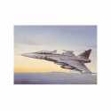 Avión JAS 39 A Gripen. Escala 1:48