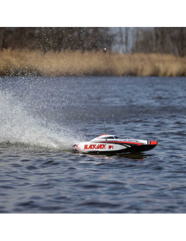 Blackjack 24" V2 Catamaran Brushless: RTR, Heat Wave Visual