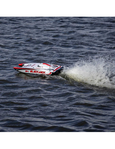 Blackjack 24" V2 Catamaran Brushless: RTR, Heat Wave Visual
