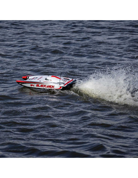 Blackjack 24" V2 Catamaran Brushless: RTR, Heat Wave Visual