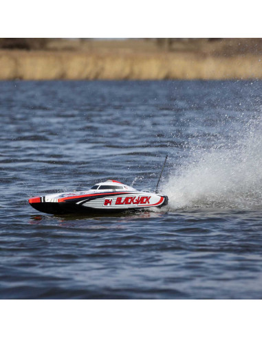 Blackjack 24" V2 Catamaran Brushless: RTR, Heat Wave Visual