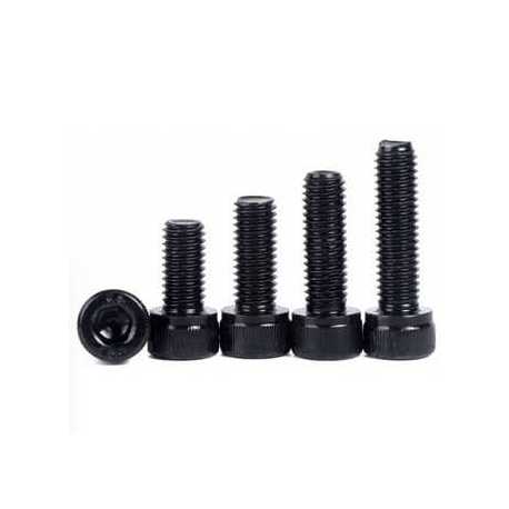 Tornillo Allen Inox m2x20mm ( 10 Und )