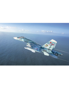Avión Su-33 Flanker-D